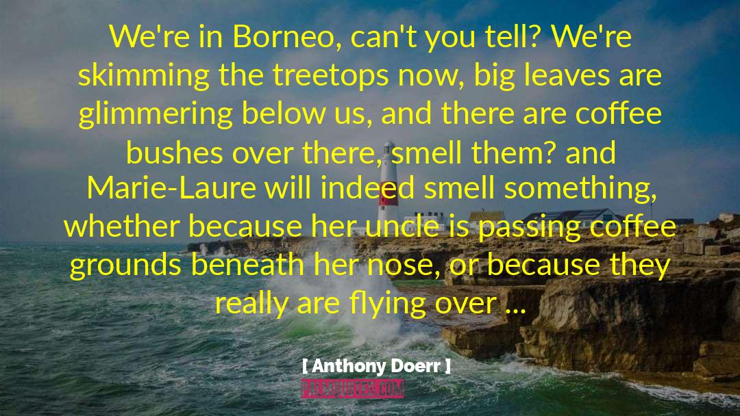 Borneo quotes by Anthony Doerr