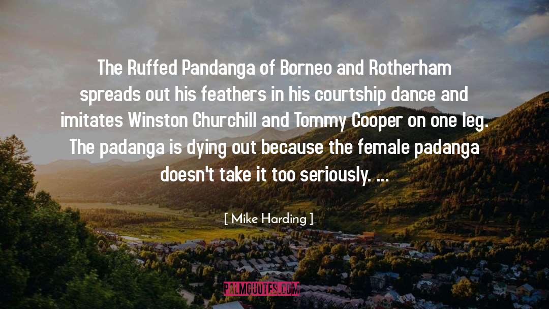 Borneo quotes by Mike Harding