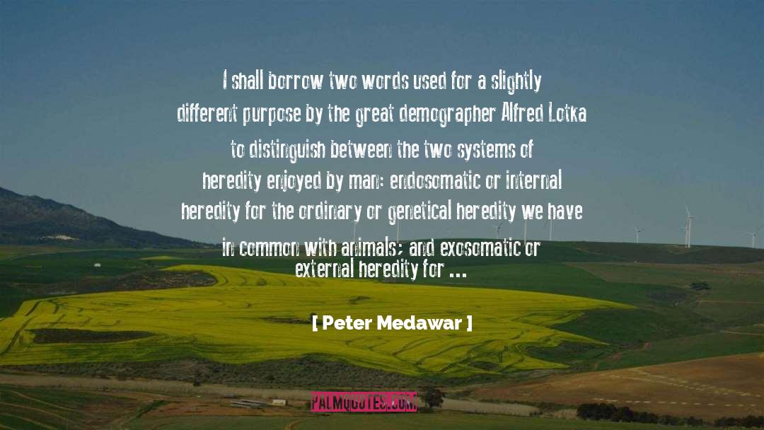 Borrow quotes by Peter Medawar