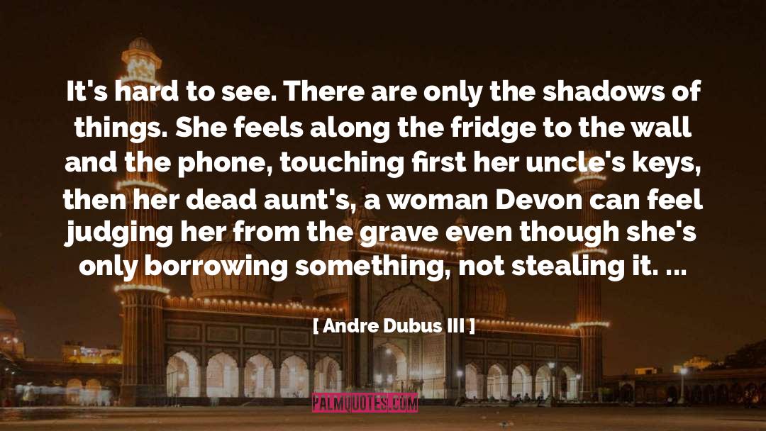 Borrowing quotes by Andre Dubus III