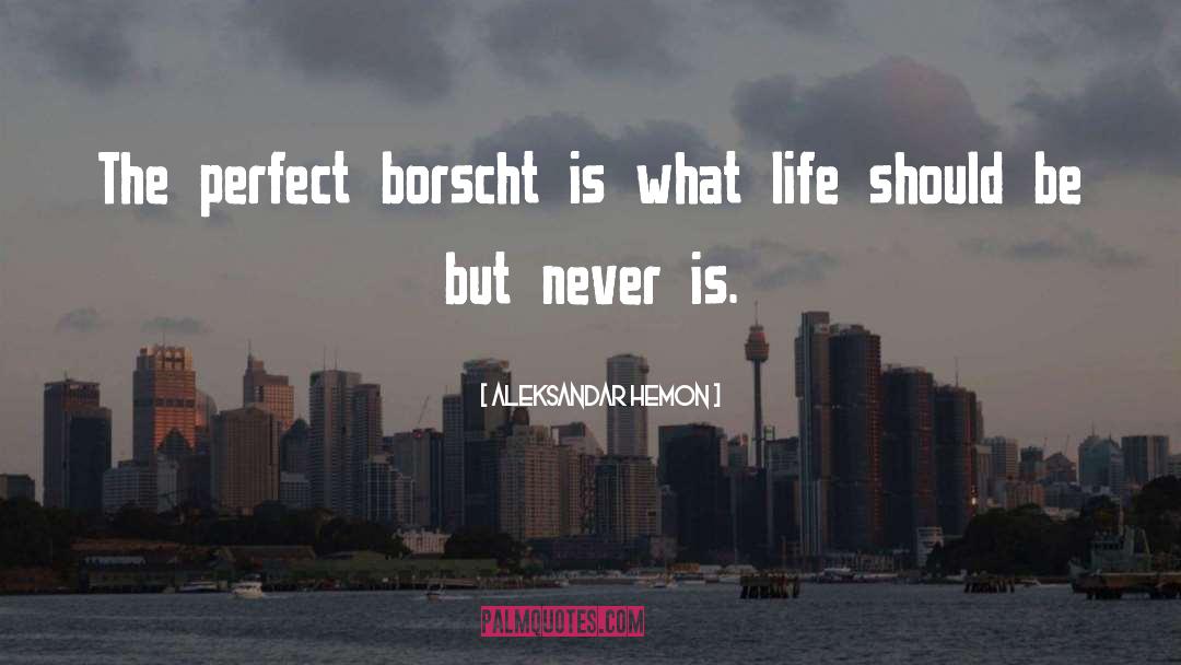Borscht quotes by Aleksandar Hemon