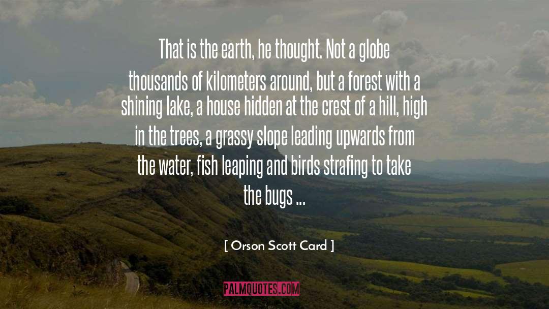Borwick Lakes quotes by Orson Scott Card
