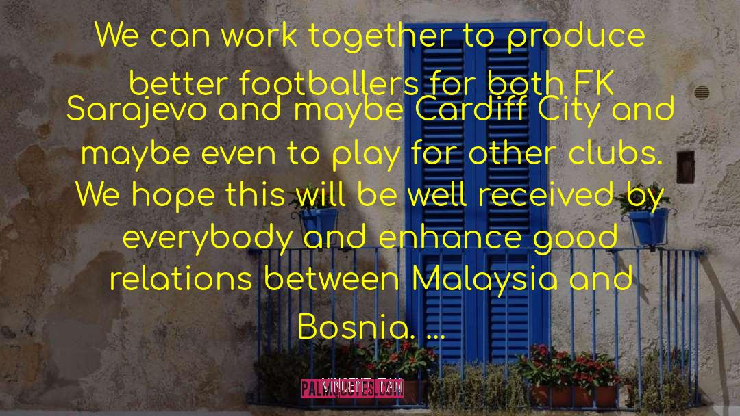 Bosnia And Herzegovina quotes by Vincent Tan