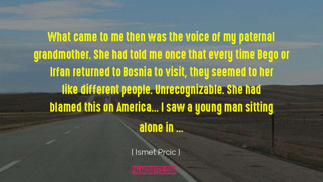 Bosnia And Herzegovina quotes by Ismet Prcic