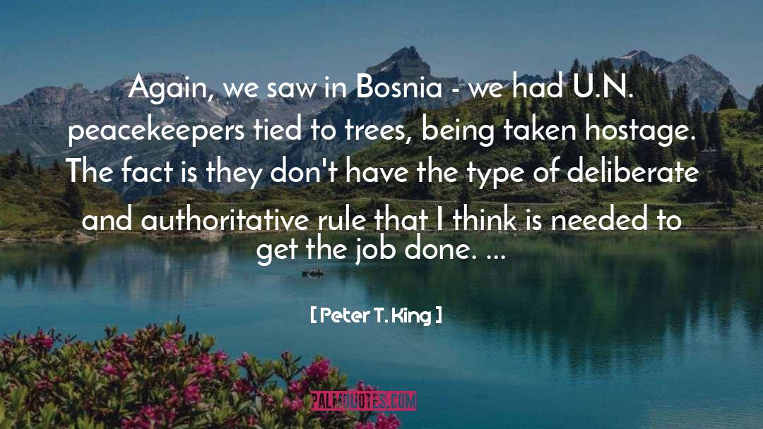 Bosnia quotes by Peter T. King