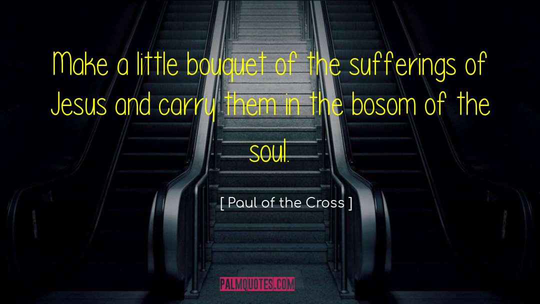 Bosom quotes by Paul Of The Cross