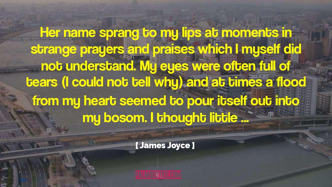 Bosoms quotes by James Joyce