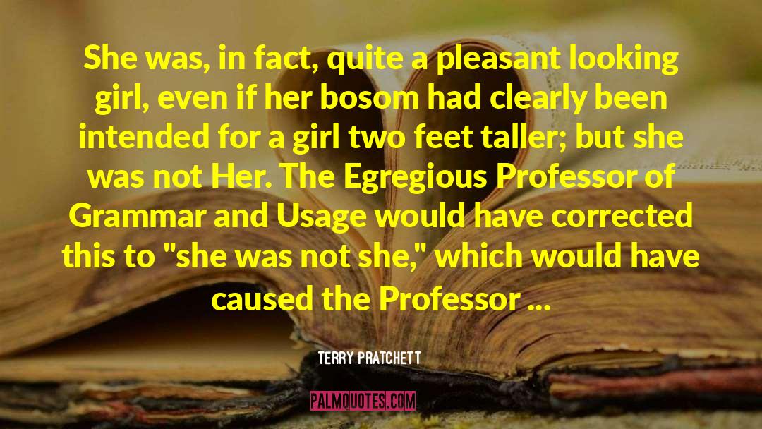 Bosoms quotes by Terry Pratchett