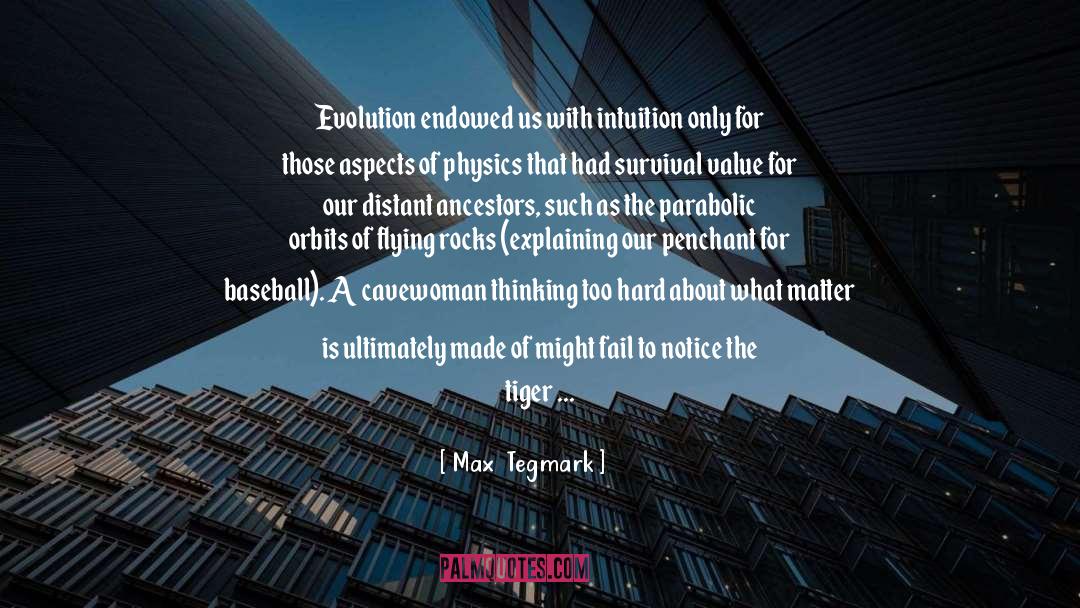 Boson quotes by Max  Tegmark