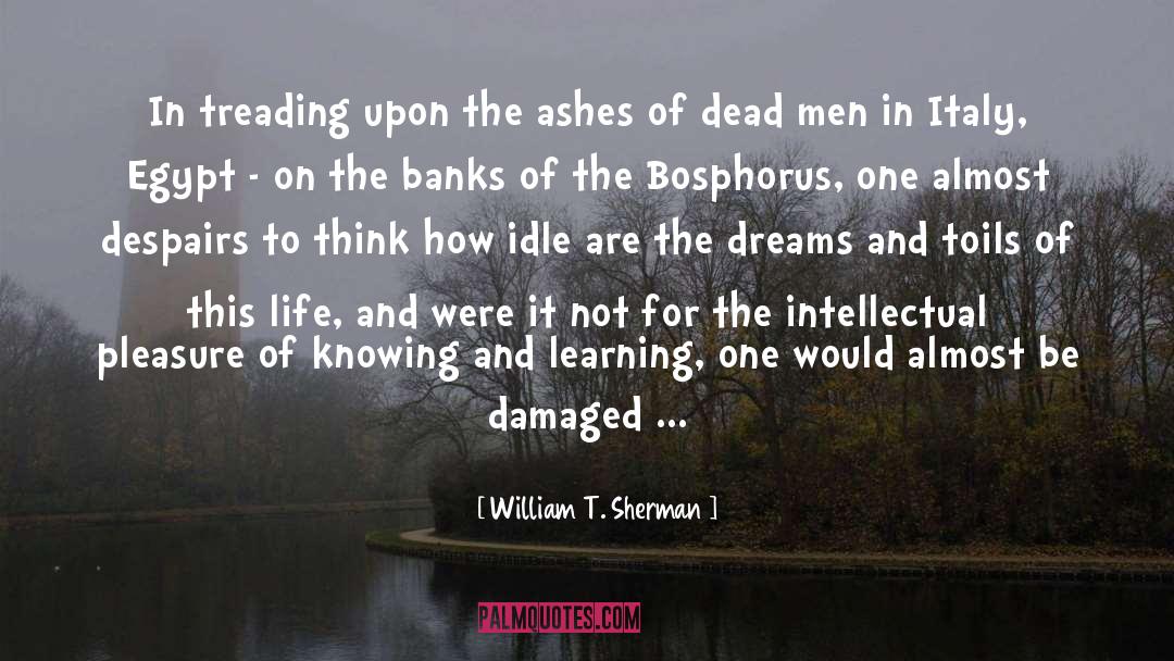 Bosphorus quotes by William T. Sherman