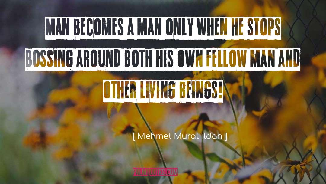 Boss Around quotes by Mehmet Murat Ildan