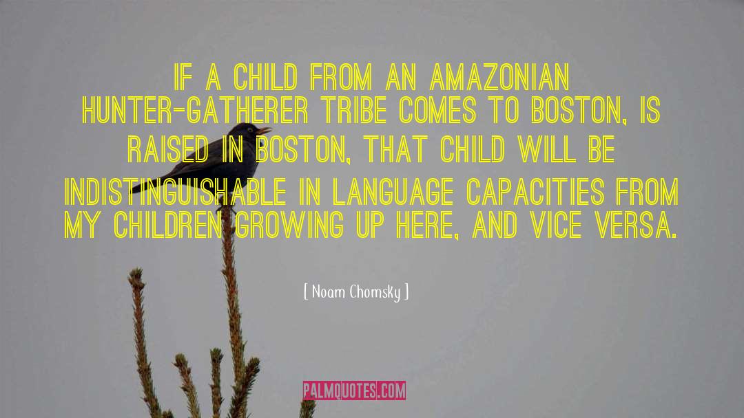 Boston Celtics quotes by Noam Chomsky