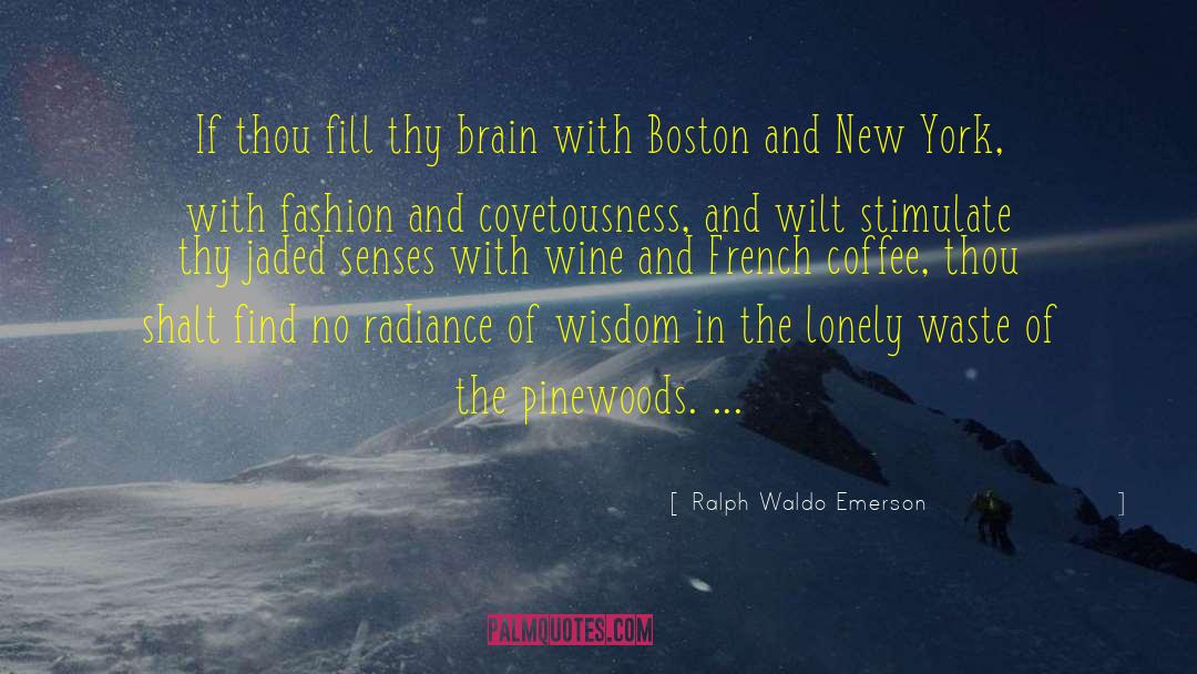 Boston Newspaper Conference quotes by Ralph Waldo Emerson