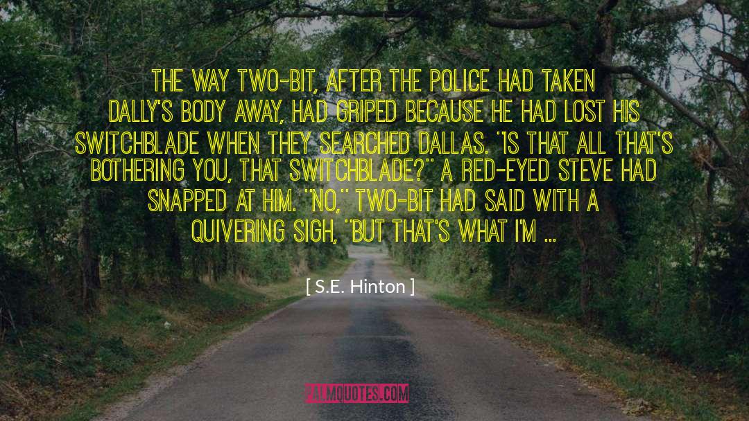 Bothering quotes by S.E. Hinton
