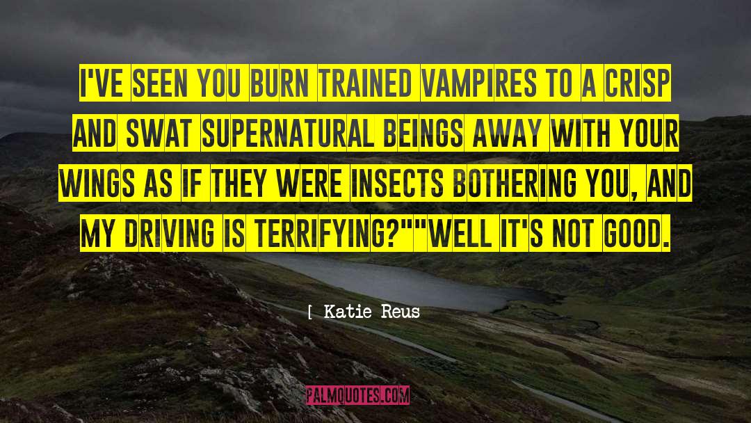 Bothering You quotes by Katie Reus