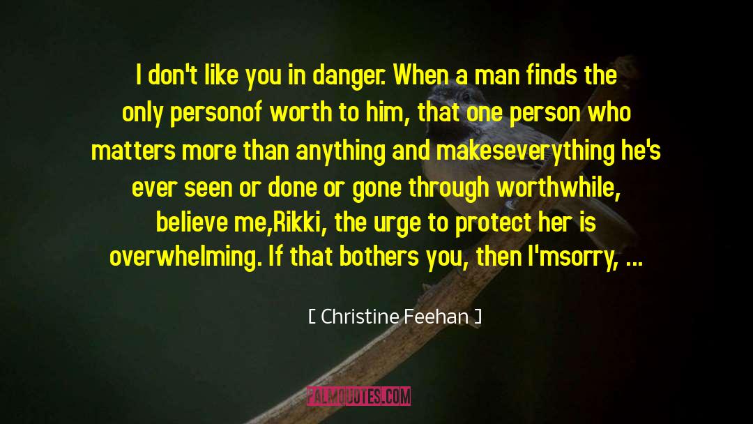 Bothers quotes by Christine Feehan