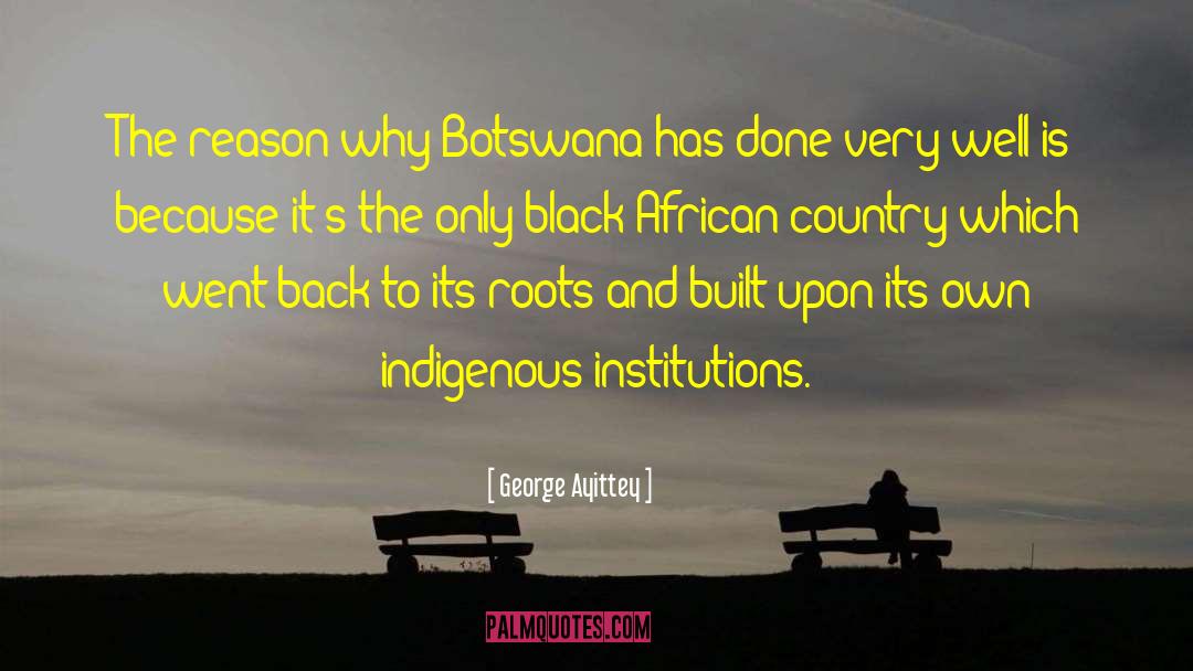 Botswana quotes by George Ayittey
