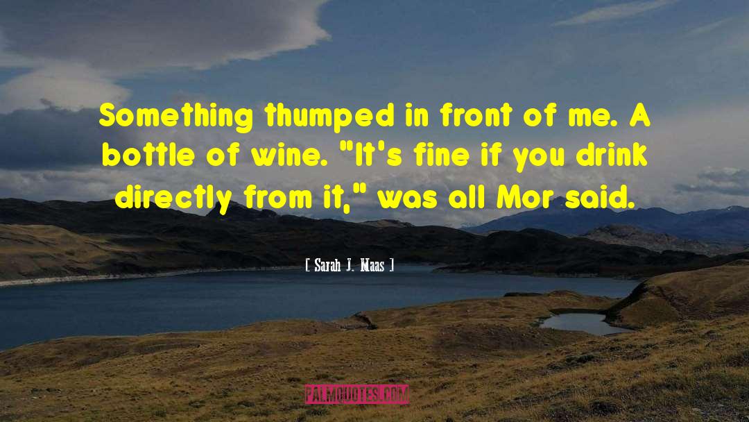 Bottle Of Wine quotes by Sarah J. Maas