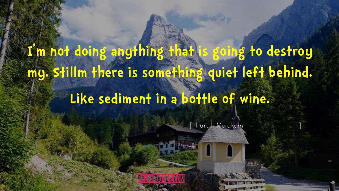 Bottle Of Wine quotes by Haruki Murakami