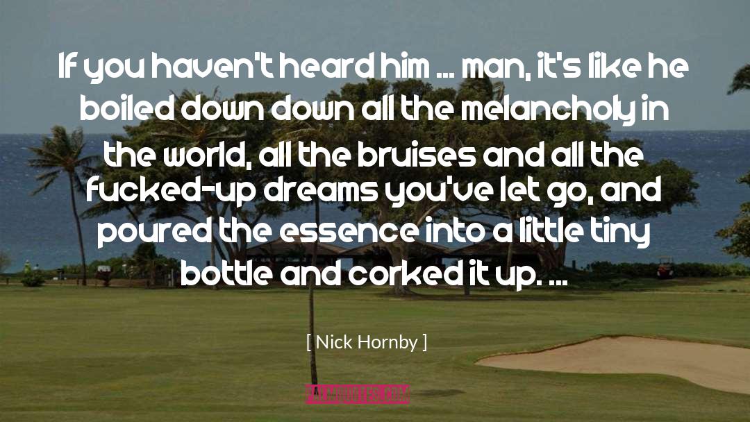 Bottle quotes by Nick Hornby