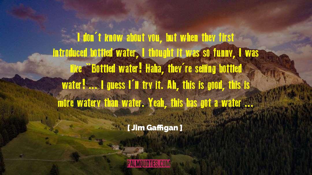 Bottled Water quotes by Jim Gaffigan