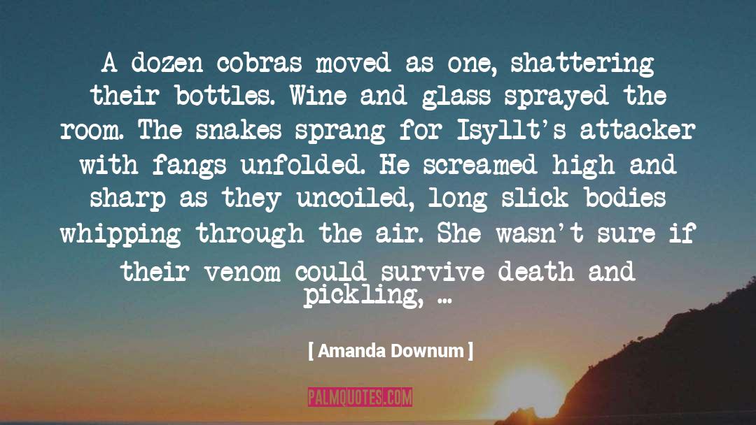 Bottles quotes by Amanda Downum