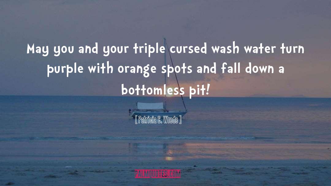 Bottomless Pit quotes by Patricia C. Wrede