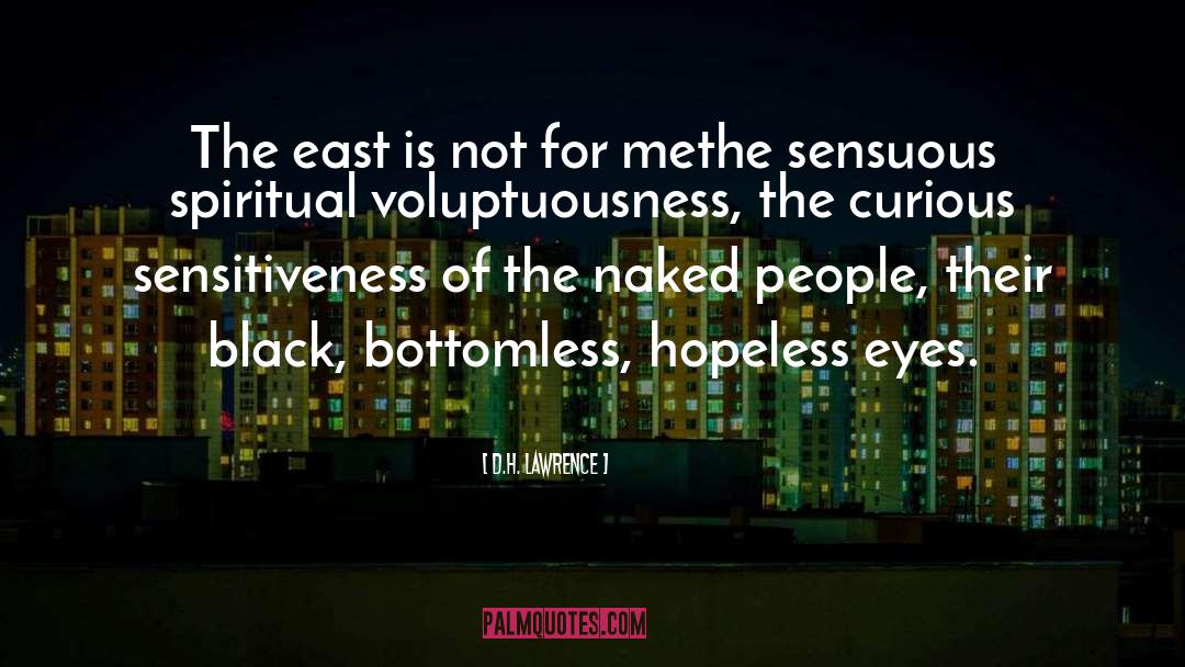 Bottomless Pit quotes by D.H. Lawrence
