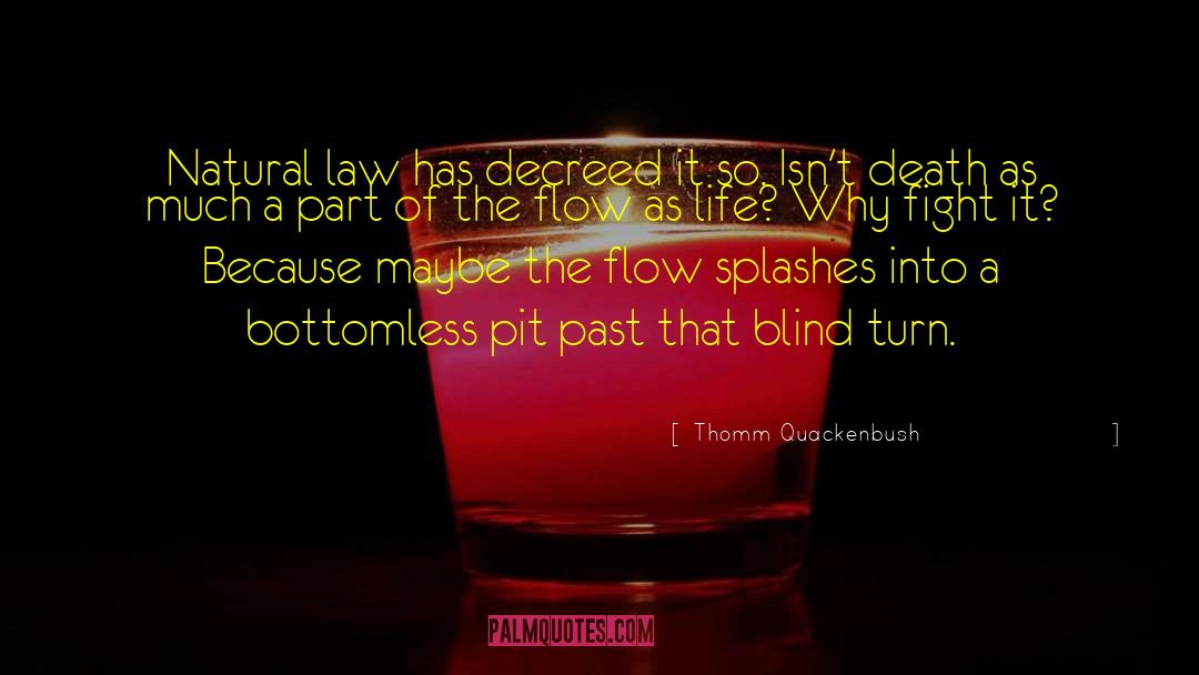 Bottomless Pit quotes by Thomm Quackenbush