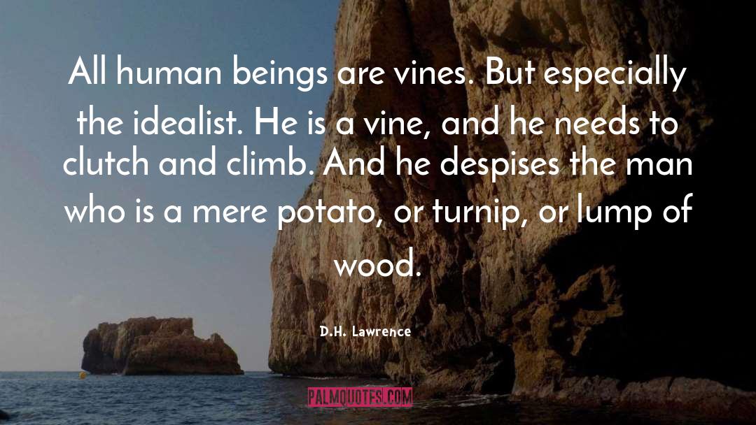 Bougainvillea Vine quotes by D.H. Lawrence