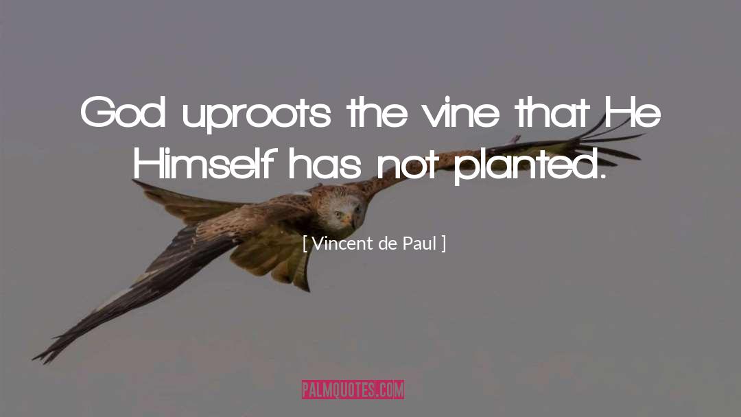 Bougainvillea Vine quotes by Vincent De Paul