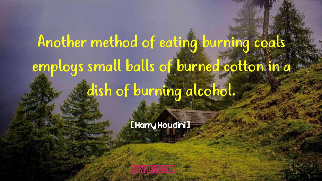 Bouillet Alcohol quotes by Harry Houdini