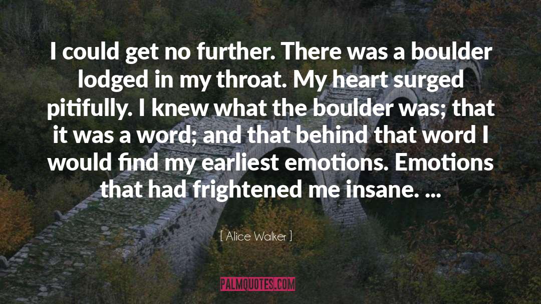Boulder quotes by Alice Walker