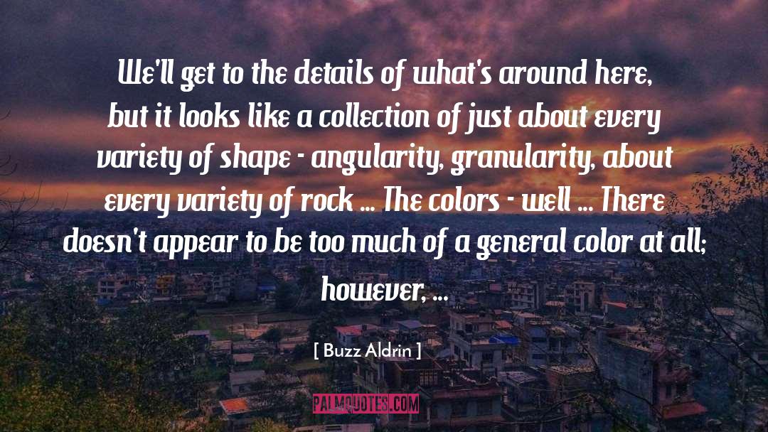 Boulders quotes by Buzz Aldrin