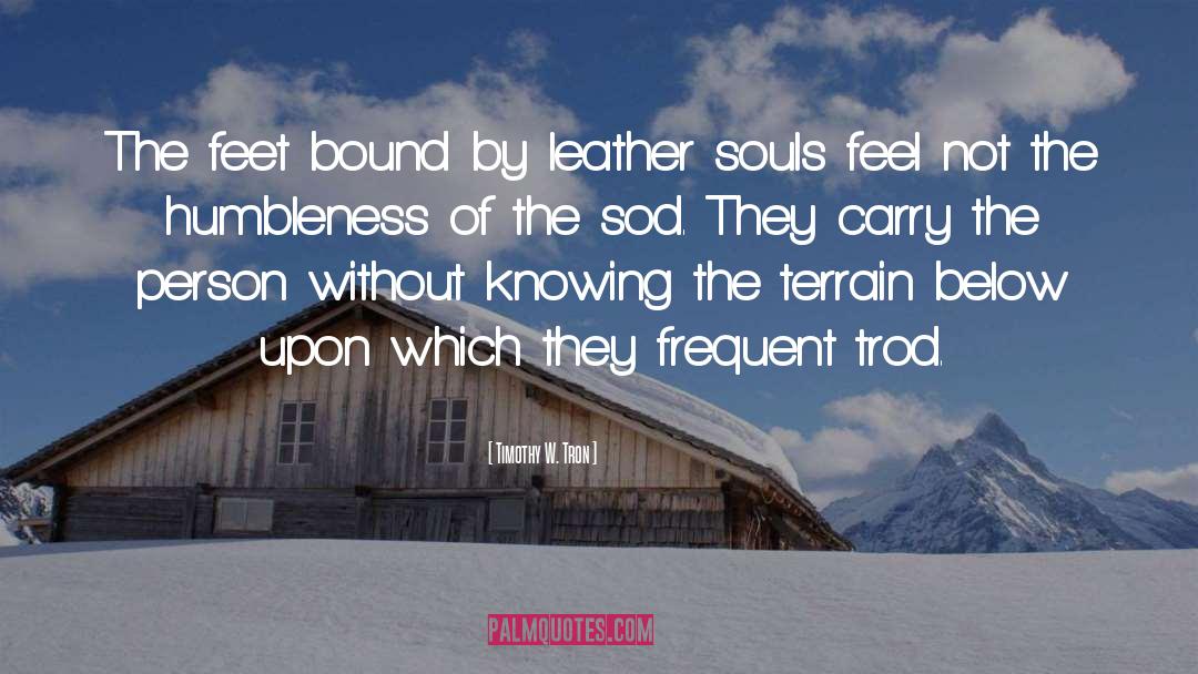 Bound Souls The Beginning quotes by Timothy W. Tron