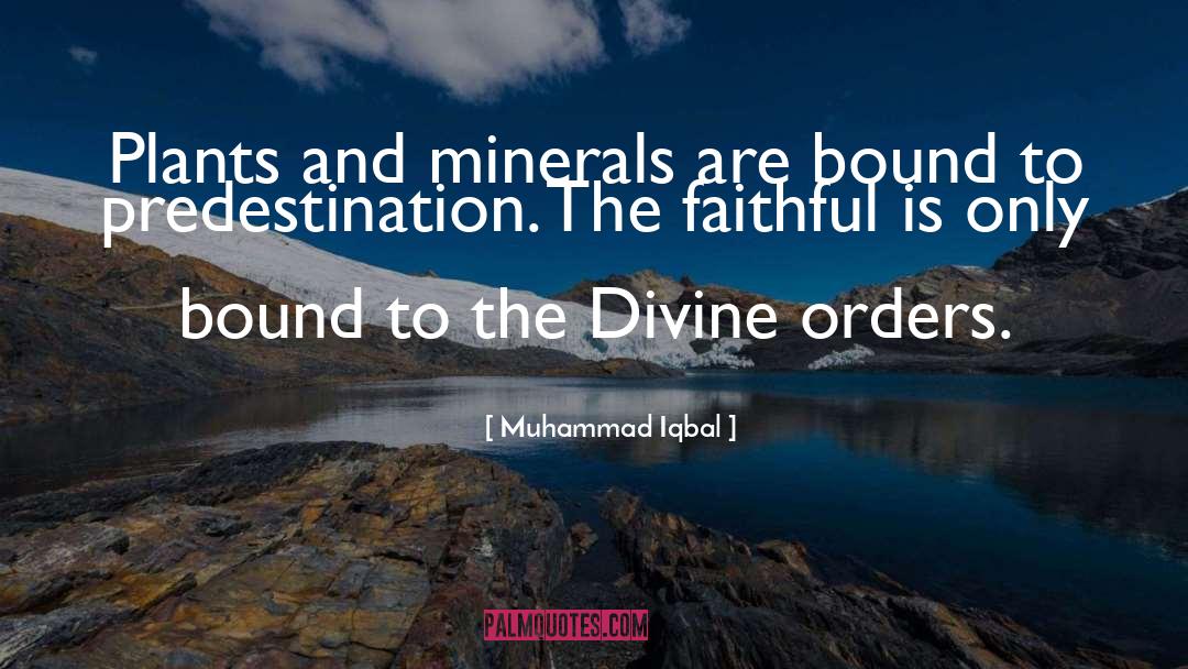Bounds quotes by Muhammad Iqbal
