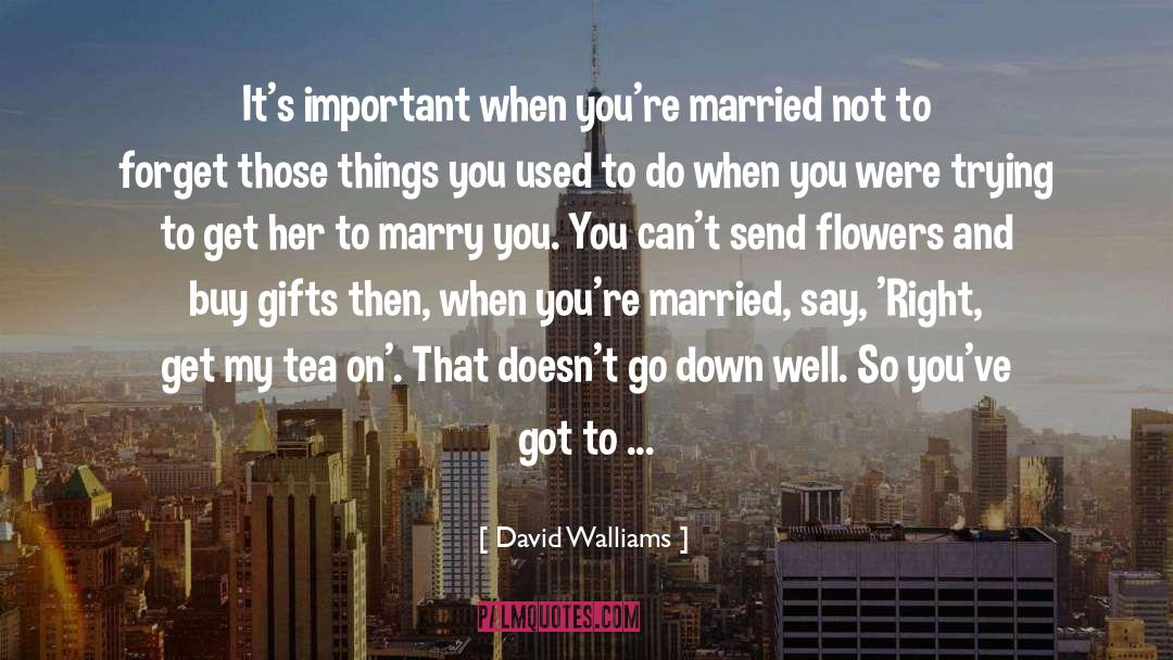 Bouquet Of Flowers quotes by David Walliams