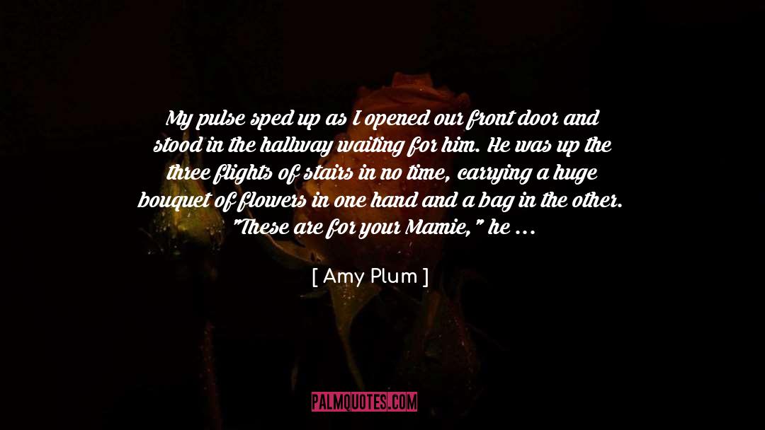 Bouquet quotes by Amy Plum