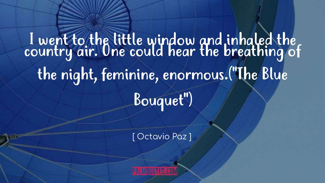 Bouquet quotes by Octavio Paz