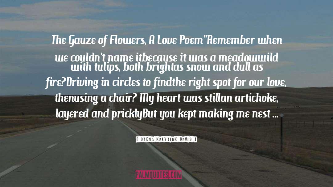 Bouquet quotes by Olena Kalytiak Davis