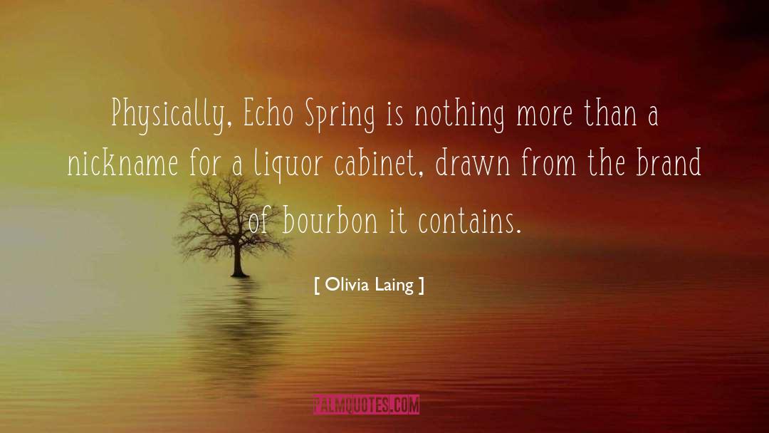 Bourbon quotes by Olivia Laing