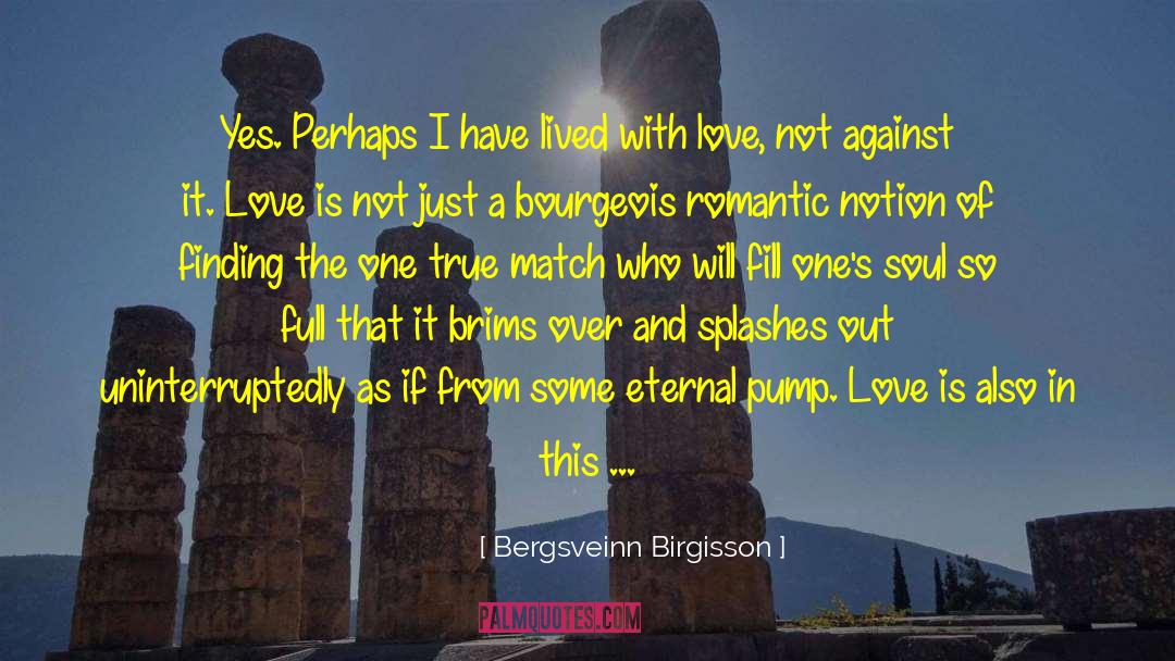 Bourgeois quotes by Bergsveinn Birgisson