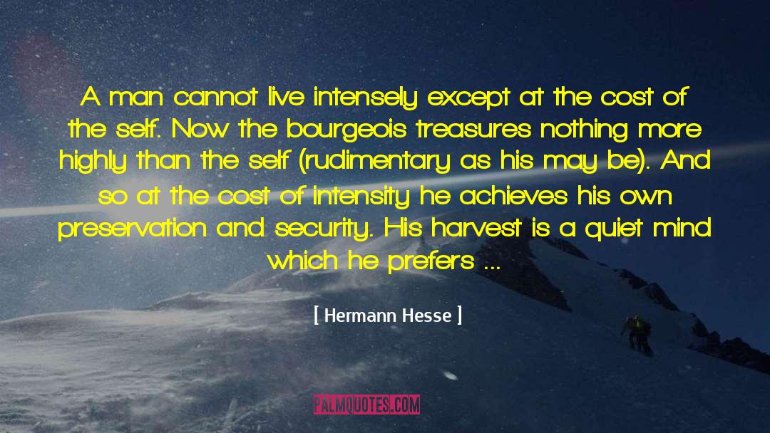 Bourgeois quotes by Hermann Hesse