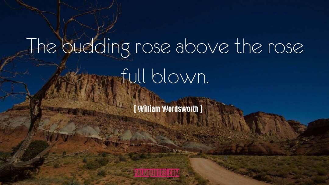 Bourgeon De Rose quotes by William Wordsworth