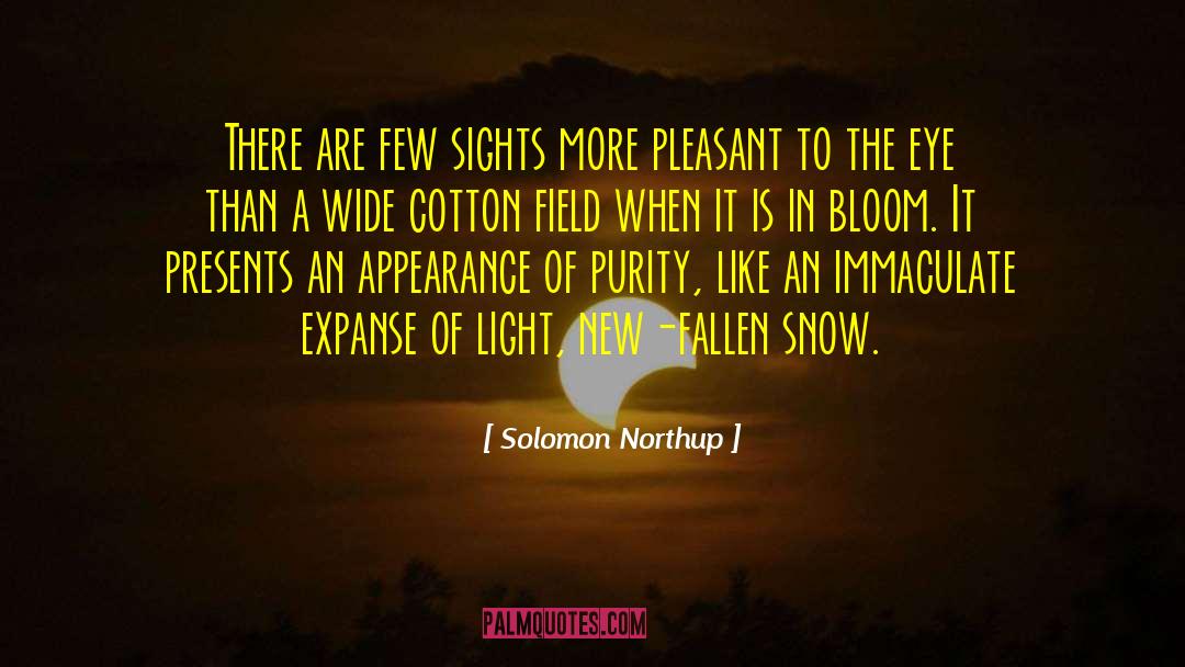 Bournias Eye quotes by Solomon Northup