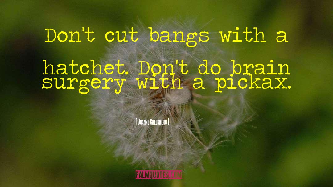 Bousfield Surgery quotes by Joanne Greenberg