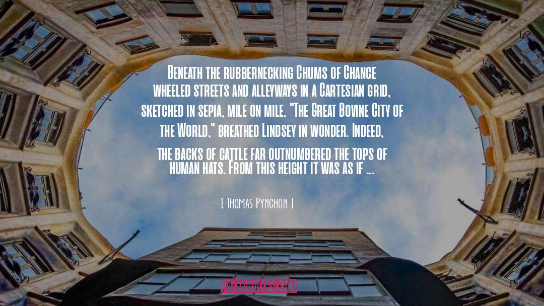 Bovine quotes by Thomas Pynchon