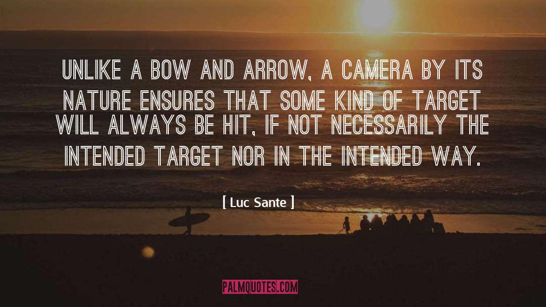 Bow And Arrow quotes by Luc Sante