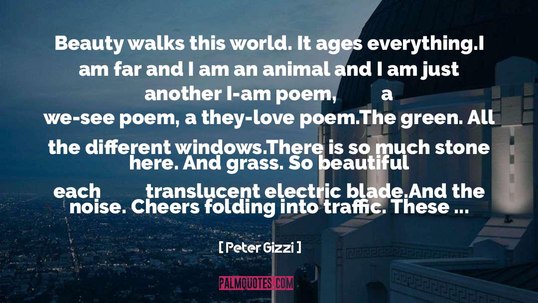 Bow Blade quotes by Peter Gizzi