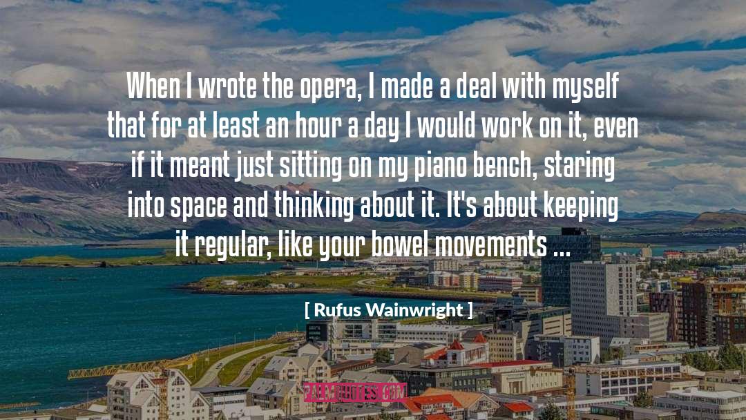 Bowel Movements quotes by Rufus Wainwright